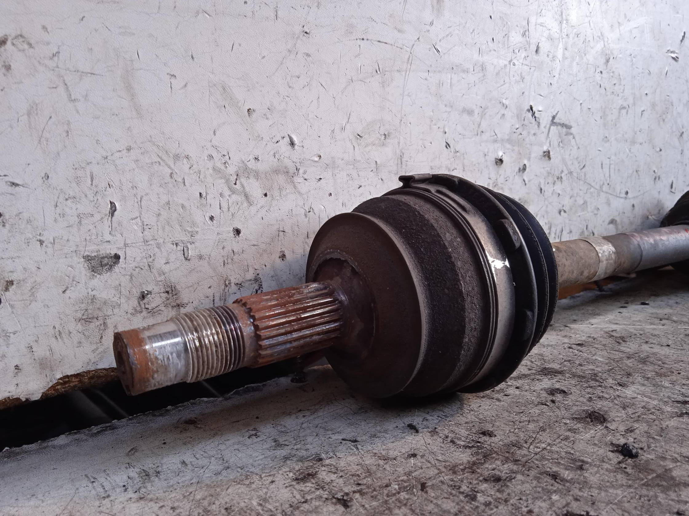 Semialbero ant. compl. sx.